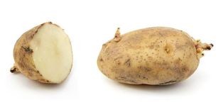 potato